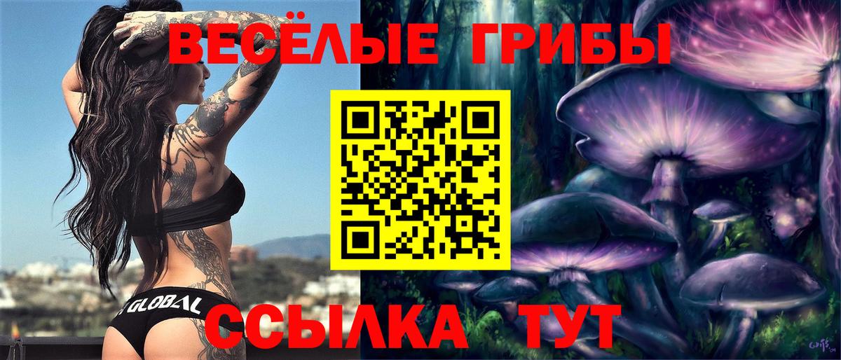 Галлюциногенные грибы GOLDEN TEACHER Медногорск