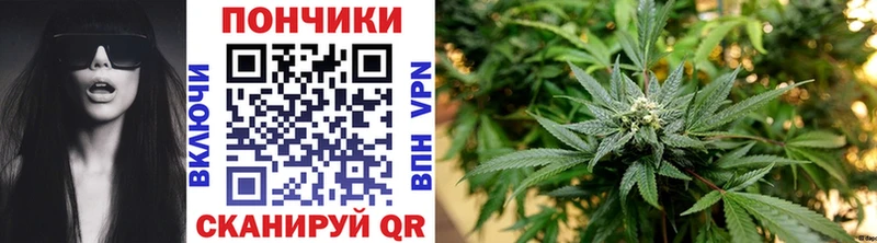 Канабис LSD WEED  сколько стоит  это какой сайт  Медногорск 
